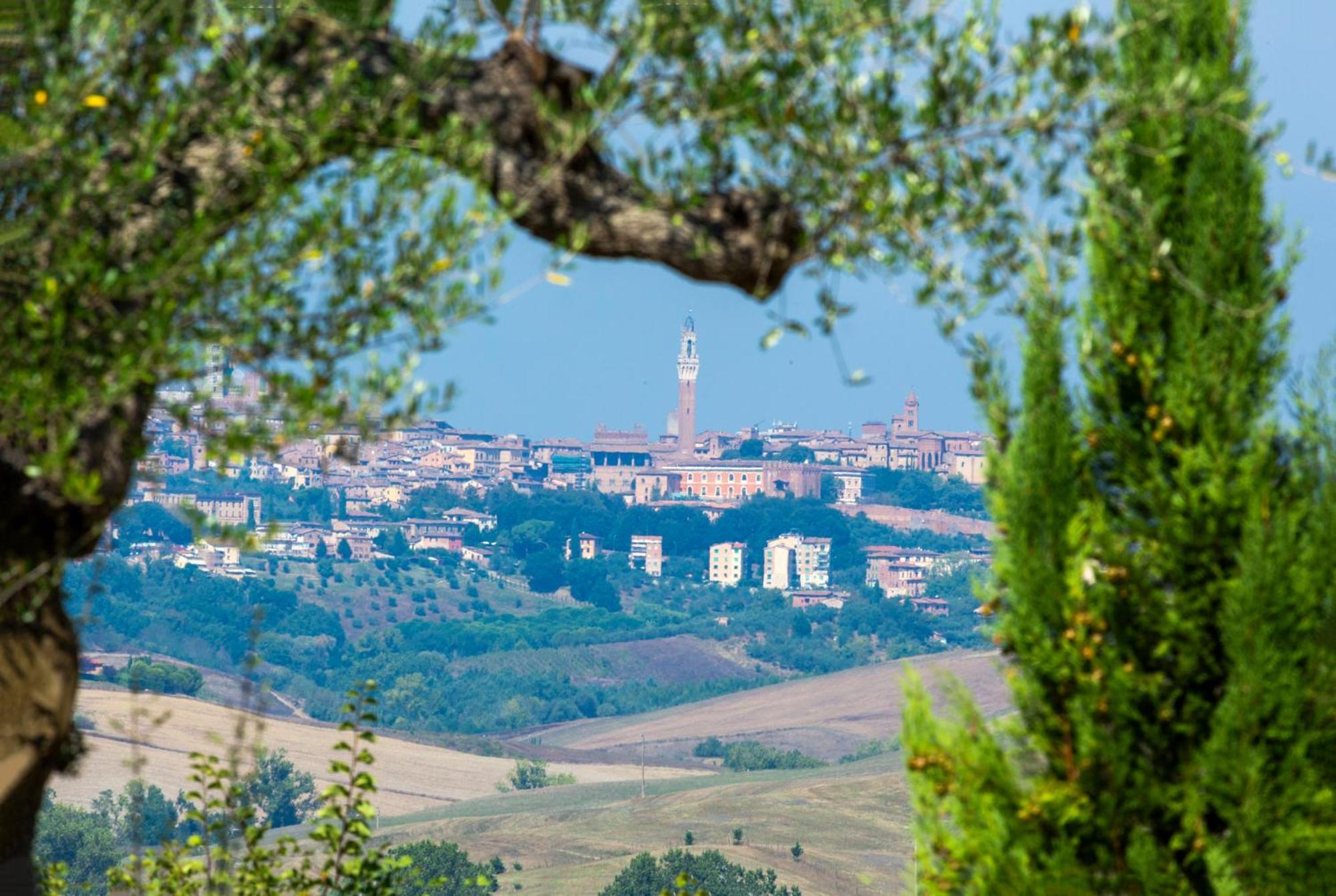 Casavacanze Vesta Isola d'Arbia Exteriér fotografie