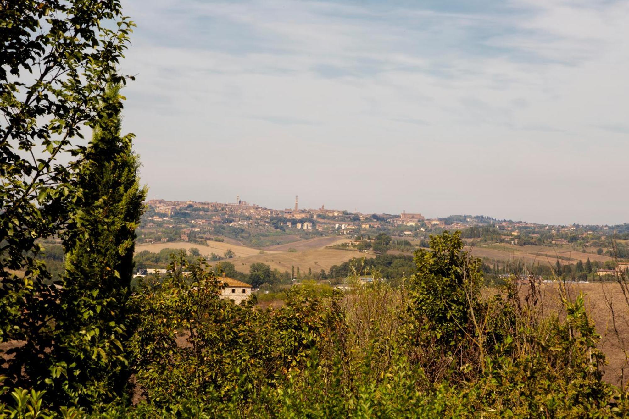 Casavacanze Vesta Isola d'Arbia Exteriér fotografie